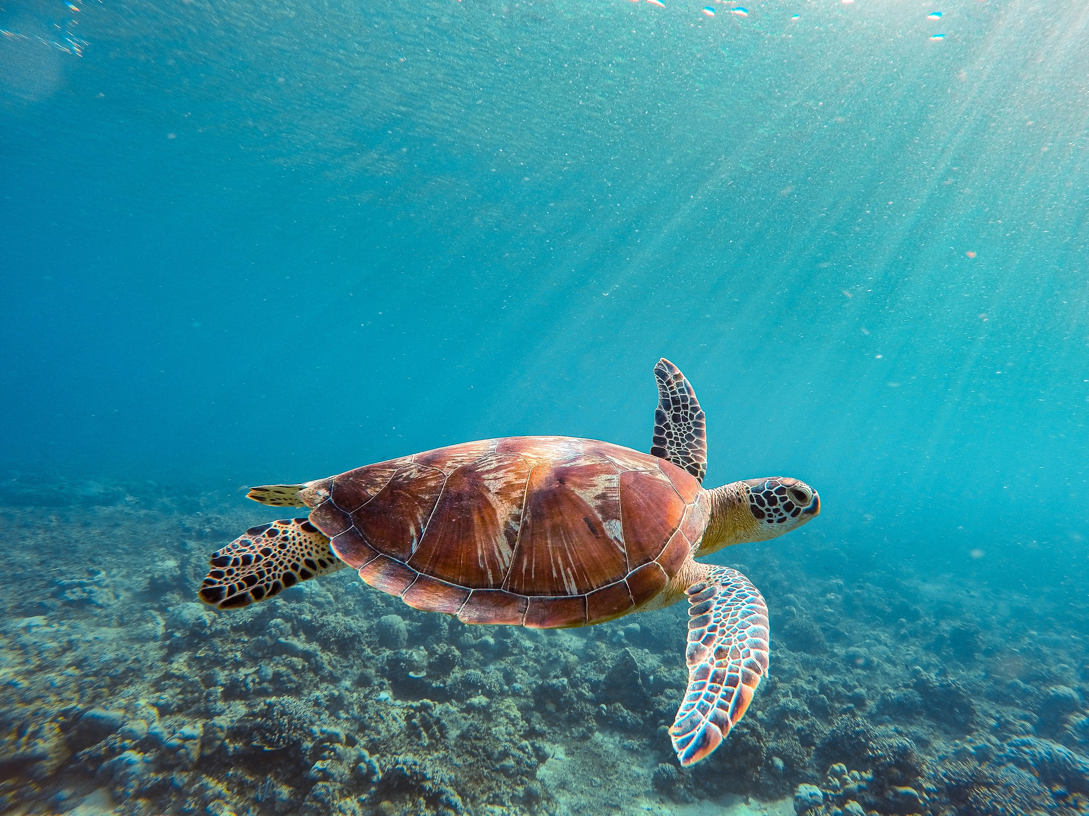 The Gili Islands, Indonesia