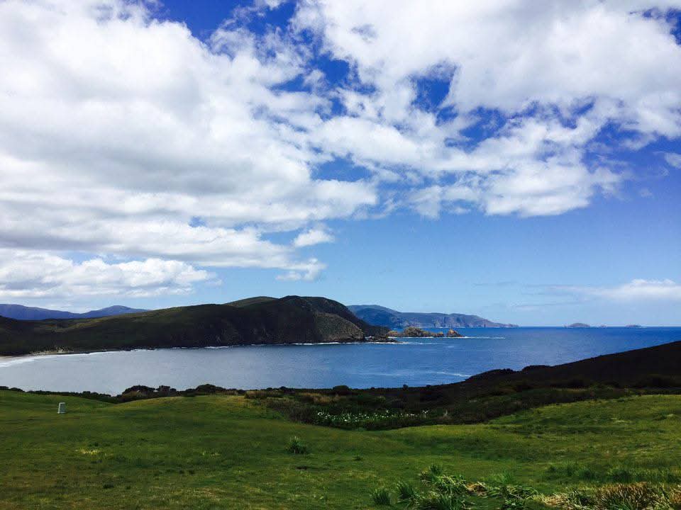 A wild green coastline and bay in Tasmania under a big cloudy sky