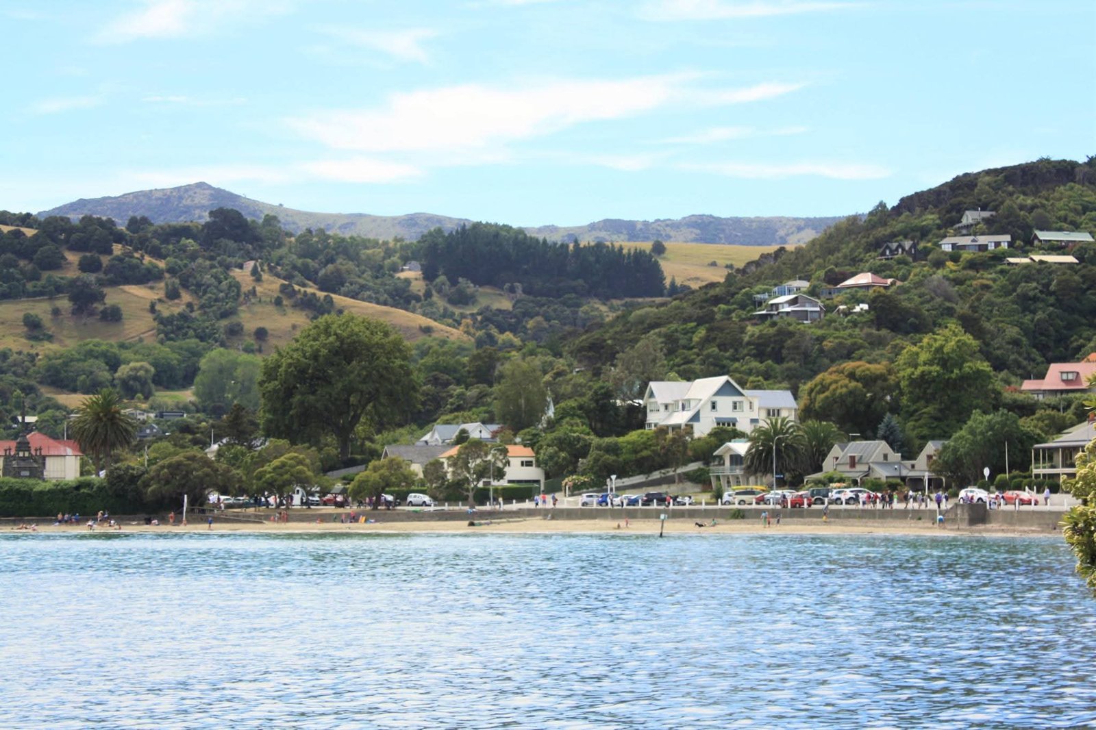 The green hills and bay of Akaroa, a small seaside village near Christchurch, seen from the water on a cruise