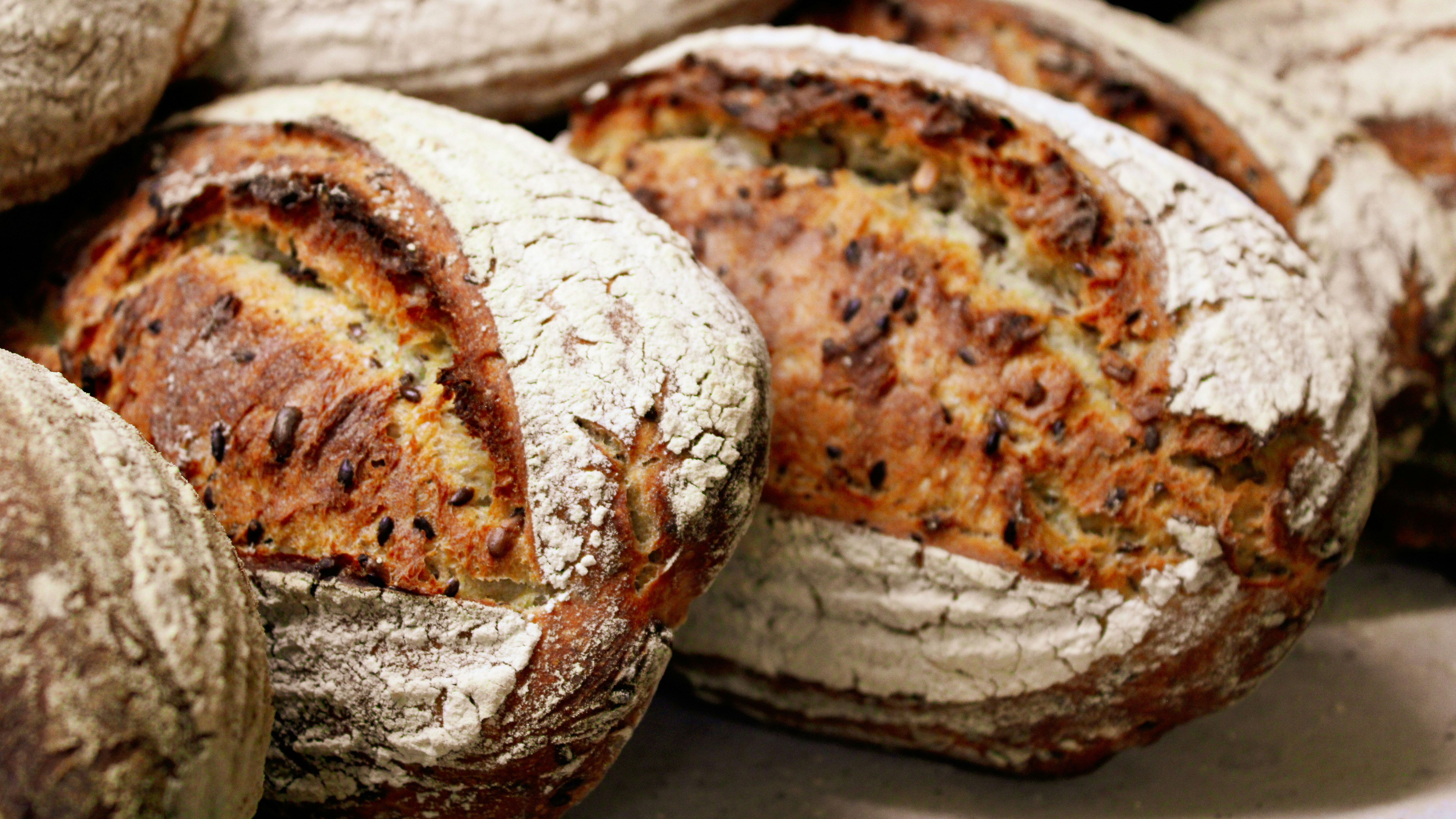 A loaf of San Francisco sourdough with a crackly crust